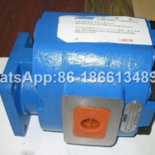 Liugong gear pump 11C0007 P7600-F160LX